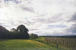 2-Melbourne-1848-P1850139