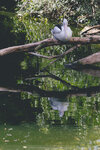 2-Melbourne-1960-IMG_5417
