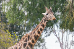 2-Melbourne-1975-IMG_5482