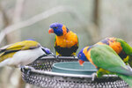 2-Melbourne-1985-IMG_5550