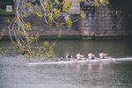 2-Melbourne-2088-P1860486