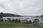 1-Tasmania-0026-P1780724