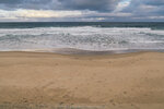 1-Tasmania-0083-P1780916