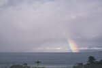 1-Tasmania-0108-P1780977