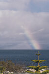 1-Tasmania-0115-P1790008