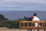 1-Tasmania-0138-IMG_9866