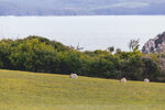 1-Tasmania-0151-IMG_9939
