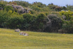 1-Tasmania-0153-IMG_9945