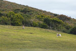 1-Tasmania-0154-IMG_9948