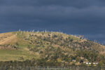 1-Tasmania-0217-IMG_0070