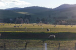 1-Tasmania-0219-IMG_0080