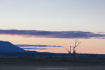 1-Tasmania-0223-IMG_0097
