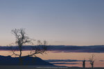 1-Tasmania-0224-IMG_0099