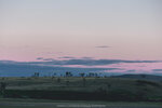 1-Tasmania-0226-IMG_0120