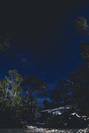 1-Tasmania-0258-IMG_0142