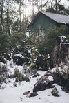 1-Tasmania-0275-P1790429