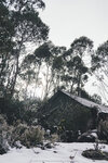 1-Tasmania-0276-P1790435