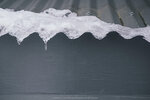 1-Tasmania-0277-P1790438