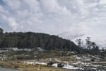 1-Tasmania-0321-P1790617