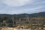 1-Tasmania-0325-P1790626
