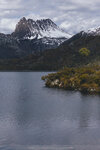 1-Tasmania-0341-IMG_0500