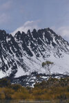 1-Tasmania-0347-IMG_0510