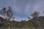 1-Tasmania-0351-P1790676
