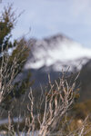 1-Tasmania-0357-IMG_0553