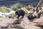 1-Tasmania-0359-IMG_0577