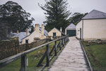 1-Tasmania-0532-P1800243