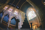1-Tasmania-0914-IMG_1686