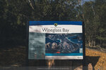 1-Tasmania-1161-P1820196