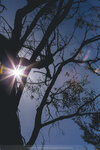 1-Tasmania-1165-IMG_2503