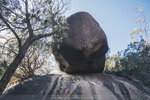 1-Tasmania-1166-P1820207