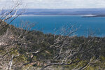 1-Tasmania-1167-IMG_2513