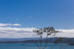 1-Tasmania-1168-IMG_2517