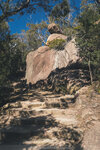 1-Tasmania-1171-P1820222