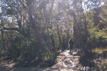 1-Tasmania-1180-P1820263