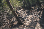 1-Tasmania-1181-P1820265
