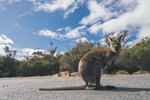1-Tasmania-1205-P1820465