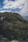1-Tasmania-1208-P1820478