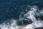 1-Tasmania-1215-IMG_2530