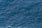 1-Tasmania-1216-IMG_2532