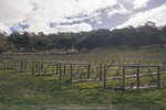 1-Tasmania-1237-P1820593