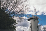 1-Tasmania-1382-P1830261