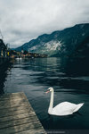 2-Hallstatt0033-P1360665