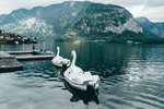 2-Hallstatt0040-P1360700