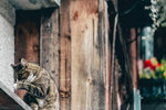 2-Hallstatt0168-IMG_4740