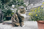 2-Hallstatt0208-DSC03436