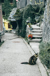 2-Hallstatt0214-P1370369